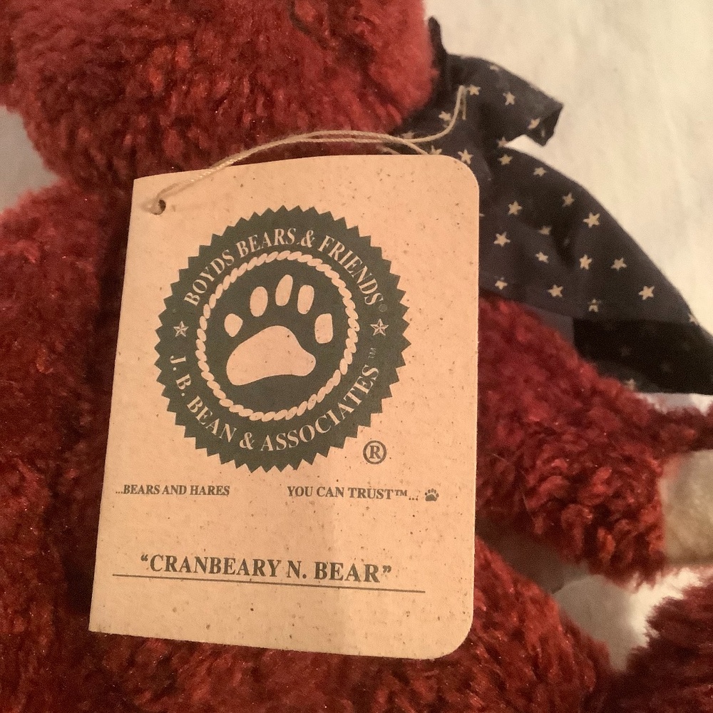 Mr Cranberry Boyds Bear - Picture 2 of 4